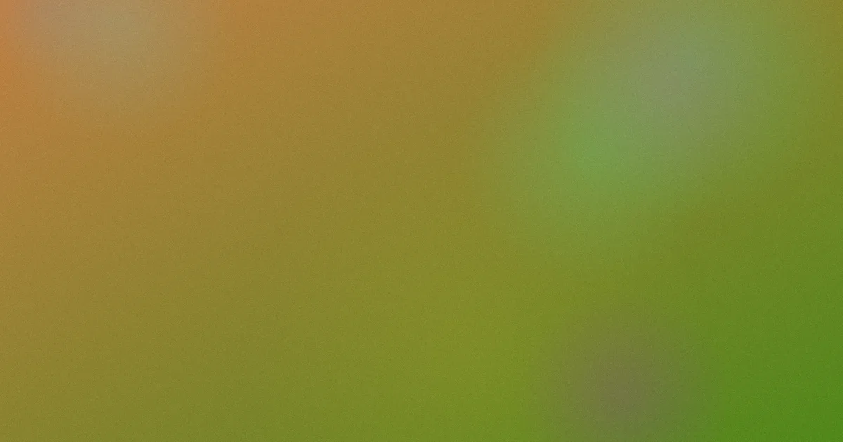 金所炫是什么：一篇讲明白